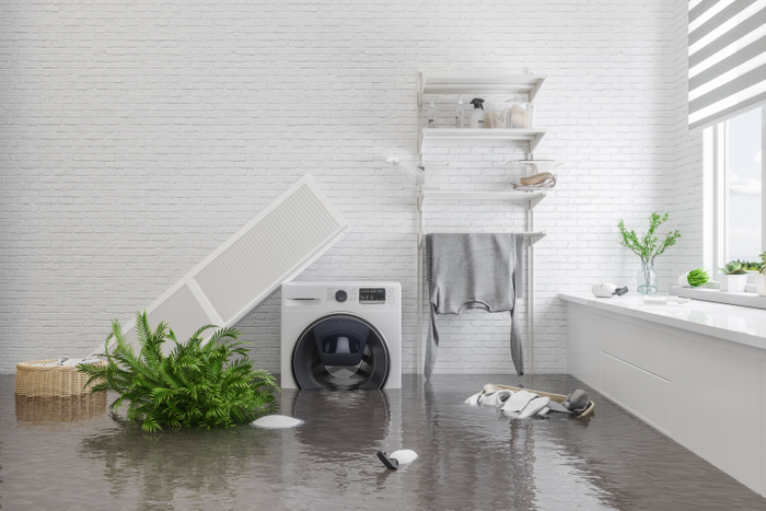Water Damage in a home