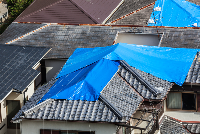 Houses with blue sheet