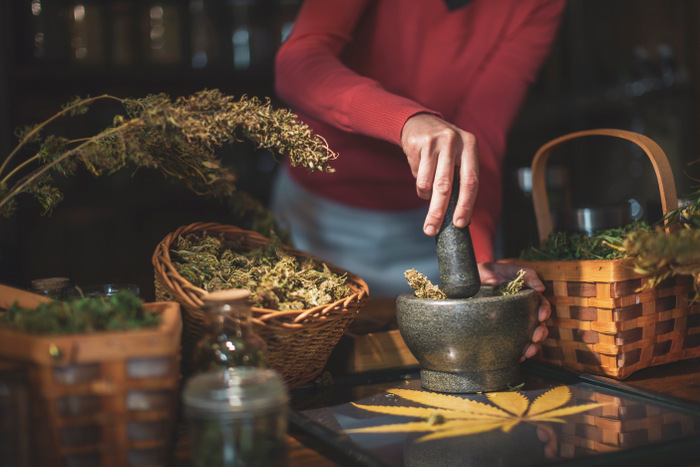 Woman Using Mortar and Pestle to Grind Marijuana Buds at Hemp Store - Stock Photo